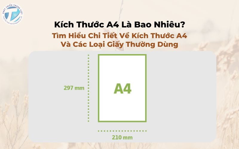 Kích Thước A4 Là Bao Nhiêu? Tìm Hiểu Chi Tiết Về Kích Thước A4 Và Các Loại Giấy Thường Dùng